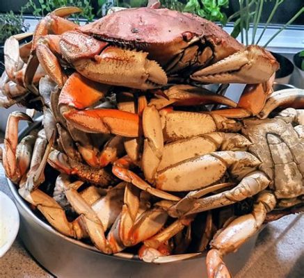  Dungeness Crab:  A Coastal Crusader Living Between Rocky Havens and Sandy Bottoms!