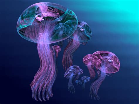  Nemertines - These Jellyfish Relatives Will Surprise You With Their Incredible Diversity!